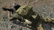 Arma2-backpack-alicepack-01