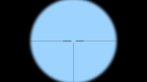 Arma2-cz550-ironsight-overview