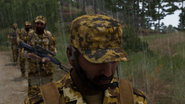 Arma3-hat-militarycap-00