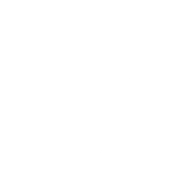 Emblem ACVI C4-621 Raven