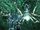 Website image Armored Core 3 Image 5.jpg