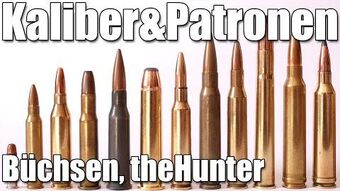 Patrone Waffen Wiki Fandom