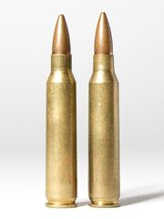 450px-Caliber cartridge comparison - .223 Remington and 5