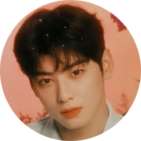 Cha Eunwoo Profile