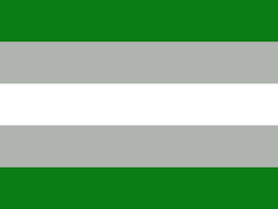 A flag consisting of five stripes, with two dark green stripes, one on the top and one on the bottom, with two grey stripes on top and below a white stripe in the middle