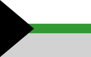 Demiromantic flag