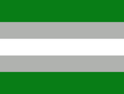 A flag with two dark green stripes, one on the top and one on the bottom, with two grey stripes on top and below a white stripe in the middle