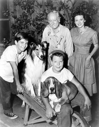 Lassie-1954-1957-1a2