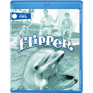 Flipper-T2-1a1