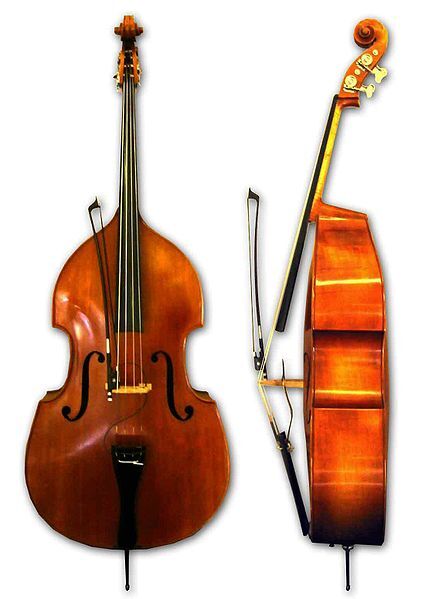 Featured image of post Recipe of Simple Double Bass Drawing