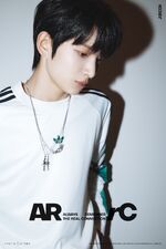 Jibeen | ARrC Wiki | Fandom