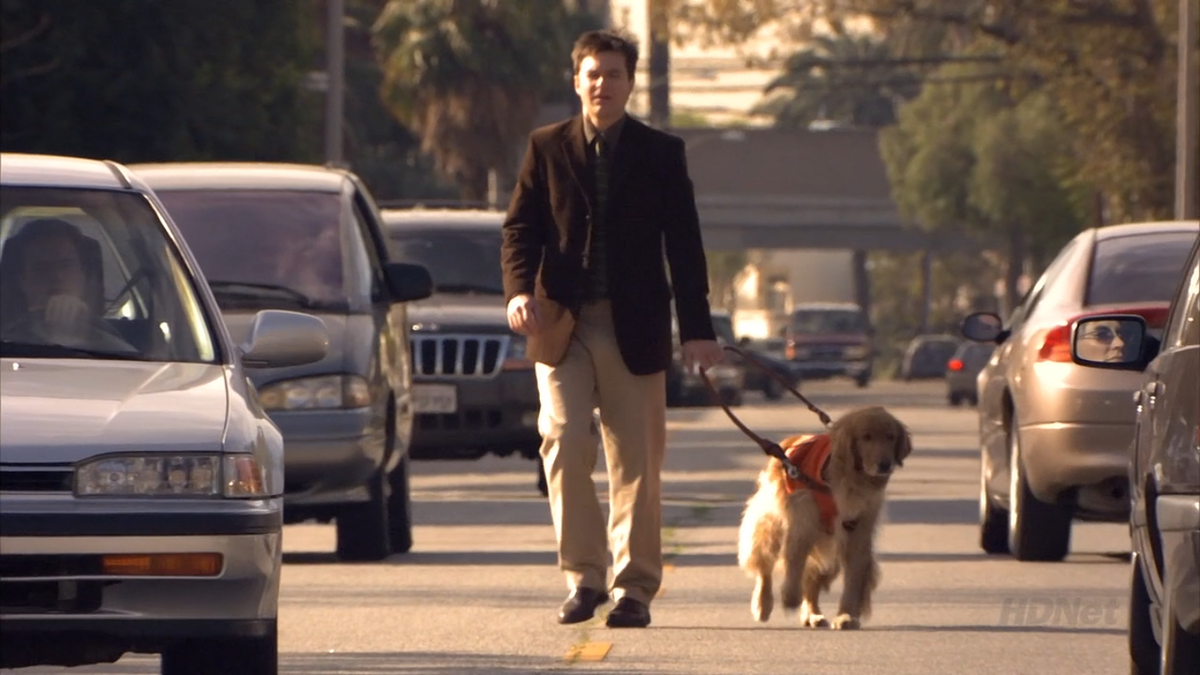 Justice Is Blind Arrested Development Wiki Fandom