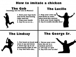 Chicken Dance Arrested Development Wiki Fandom