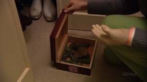 Buster puts his pet turtle in Oscar's box with "grass" in it, also with an Afternoon Deelite label. ("Prison Break-In")