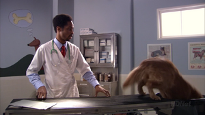 Michael takes Justice to the vet. {{ep|1x17}}