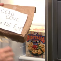 Dead Dove | Arrested Development Wiki | Fandom Dead Dove | Arrested Development Wiki | Fandom