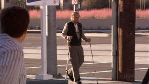 Every year, Oscar attempts to make a 420 mile walk up to UC Berkeley ("Afternoon Delight")