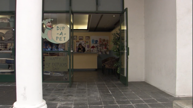 Pet sales shop dip