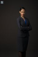 Amanda Waller (Cynthia Addai-Robinson)