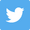 Twitter favicon