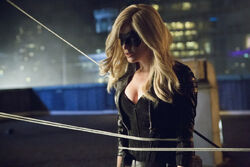 Arrow-saison-2-episode-4-crucible-black-canary