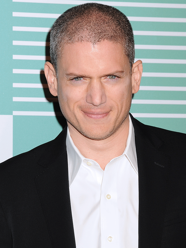 Wentworth Miller Wiki ARROW France Fandom Wentworth Miller Wiki ARROW France Fandom