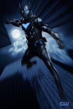 Batwing 002.jpg