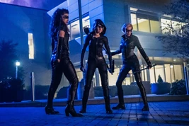 5.Arrow-Green Arrow and the Canaries Green Arrow II, et les Canaries