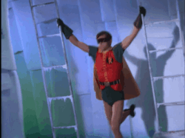 Robin 66