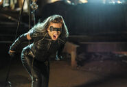 5.Arrow Tribute Black Canary II