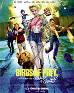 Birds-of-prey-affiche-finale-france