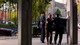 The Trickster arrested