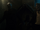 Savage's hawk creatures.png