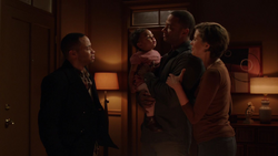 Diggle family