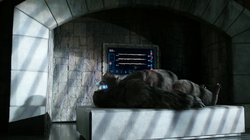 Grodd em coma na A.R.G.U.S.
