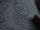Data on Pamela in Lex Luthor's journal.png