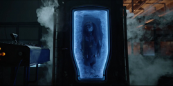 Batwoman is trapped in the cryo chamber