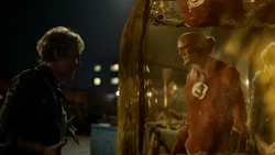 Vanessa Jensen bloqueia Flash