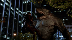 King Shark tries to eat Barry