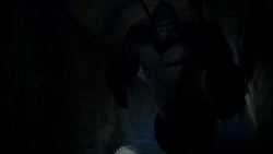 Fallout - Grodd