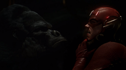 Grodd segurando o Flash