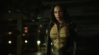 Vixen (Arrow)
