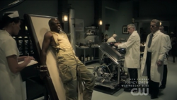  becoming the first meta.