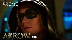 Green Arrow The Canaries Arrowverse Wiki Fandom