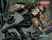 Arrow fights Canary while under the influence