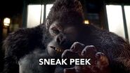 The Flash 2x07 Sneak Peek 2 "Gorilla Warfare" (HD)