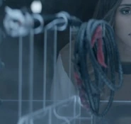 Catwoman's whip.png (109 KB) Catwoman's whip