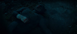 Morte do Pantera