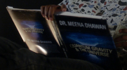 Quantum Gravity & the Universe