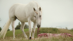 Unicorn eating a Woodstock hippie's heart